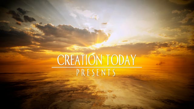 Creation Today