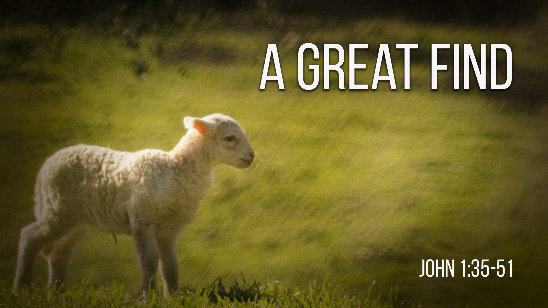 At Calvary "A Great Find"