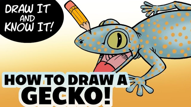 Draw It And Know It - How To Draw A Baby Gecko