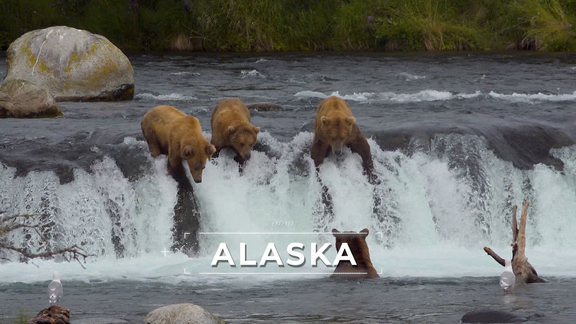 God's Wild And Wonderful Masterpiece - Part 2