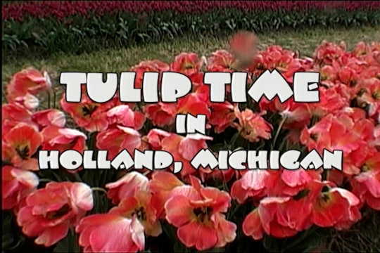 Tulip Time In Holland Michigan