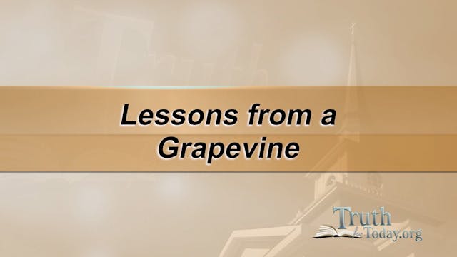 Lessons From A Grapevine