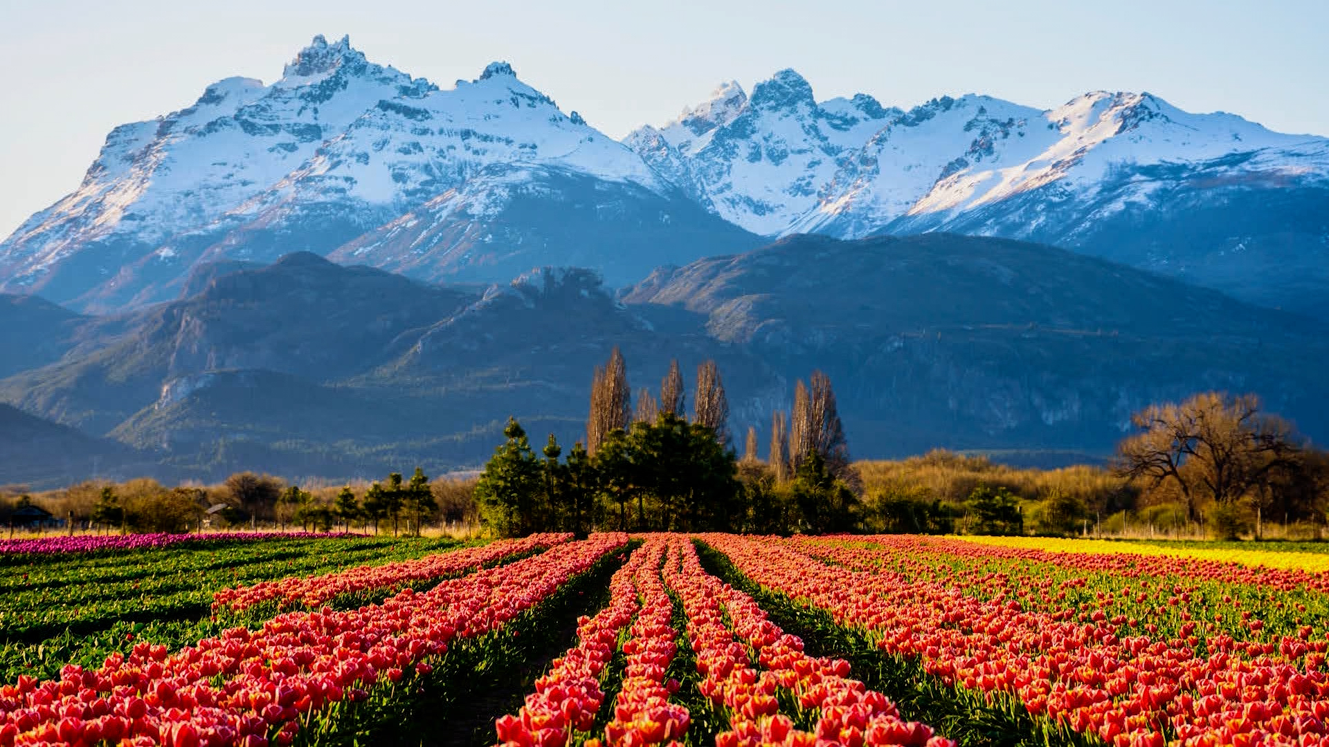 Program 7: Reaching The Toba Qom In Argentina