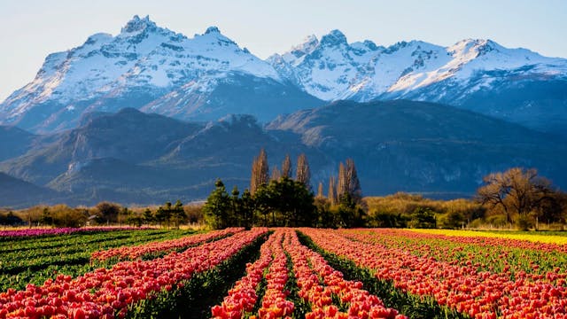 Program 7: Reaching The Toba Qom In A...