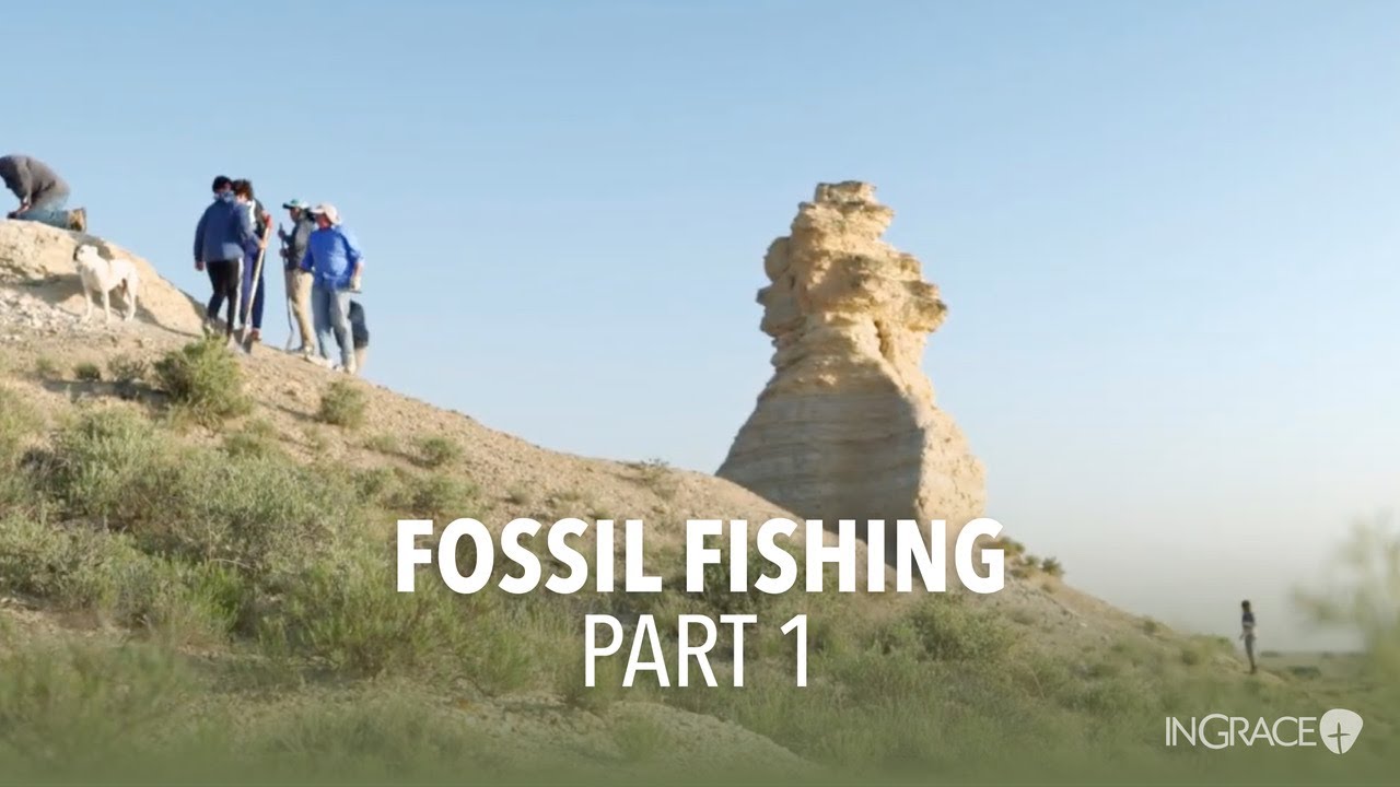 Fossil Fishing - Part 1