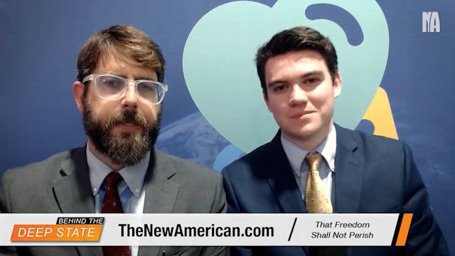 COP29 Report (11-19-24)