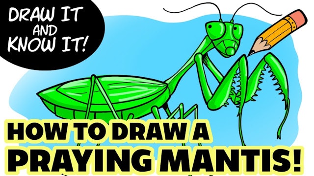 Draw It And Know It - Art Lesson Edition - How To Draw A Praying Mantis