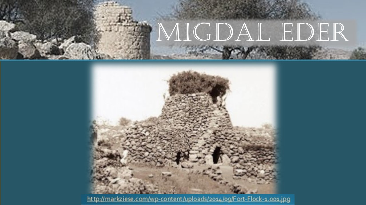 Prophecy Of Jesus' Birth Place: Migdal Eder