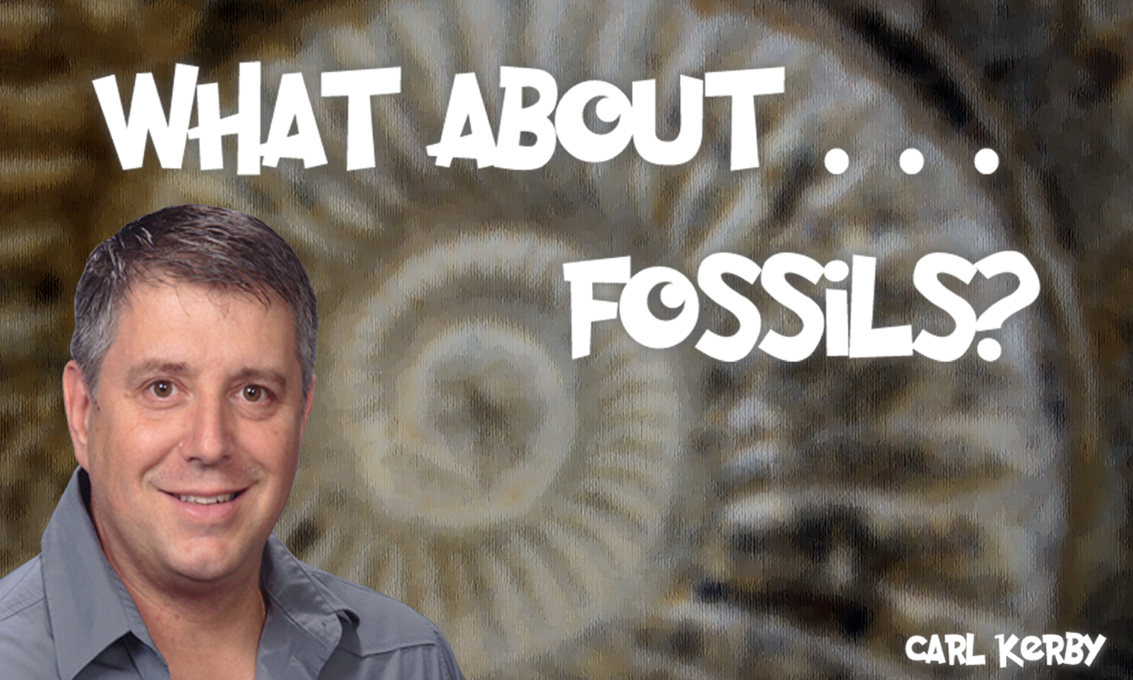 Feathered Dinosaurs - Part II