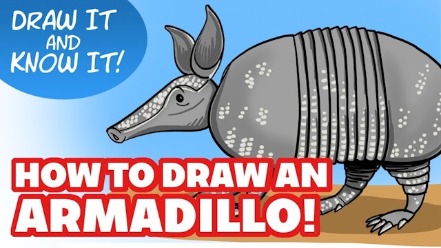 Draw It And Know It - Art Lesson Edition - How To Draw An Armadillo