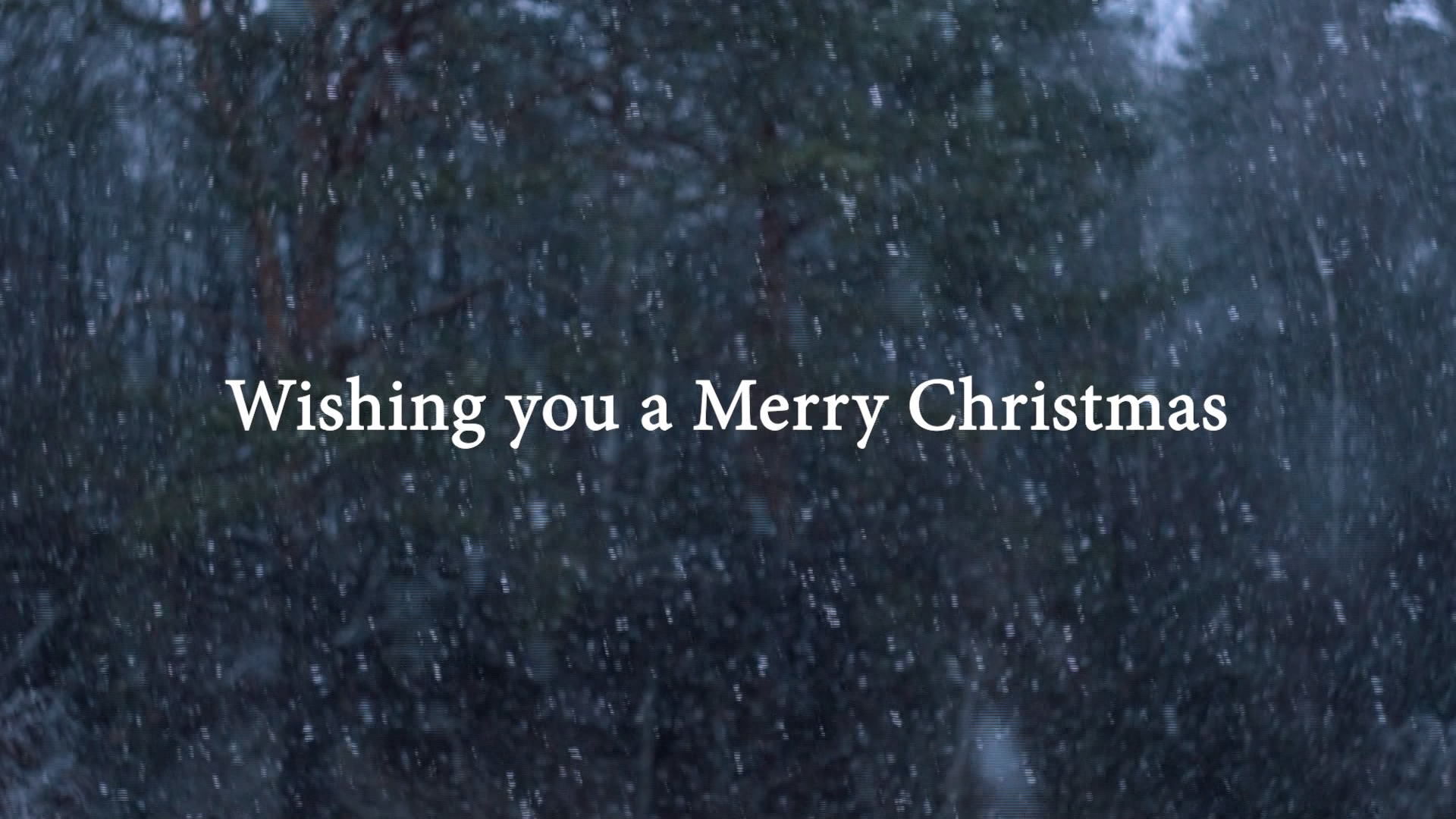 PGM TV - Christmas Special