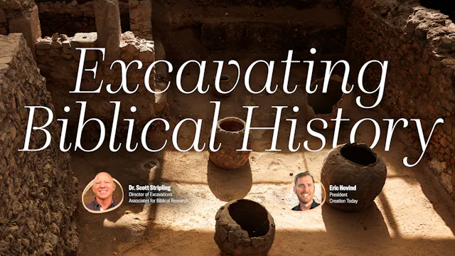 Excavating Biblical History
