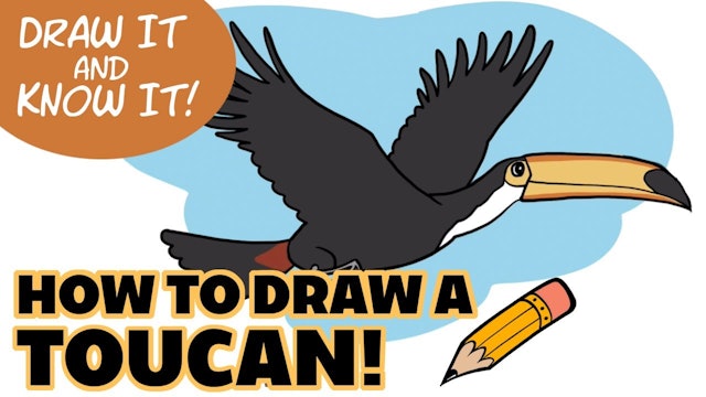 Draw It And Know It - Art Lesson Edition - How To Draw A Toucan
