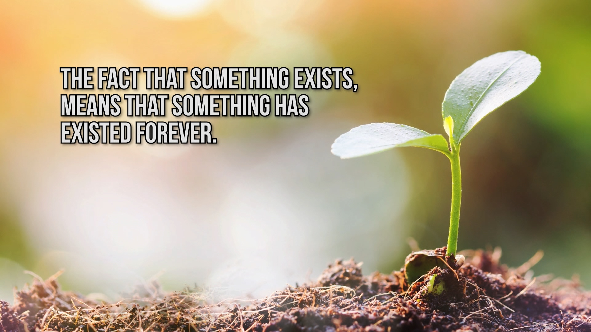 Program 6: If God Exists, Then What?