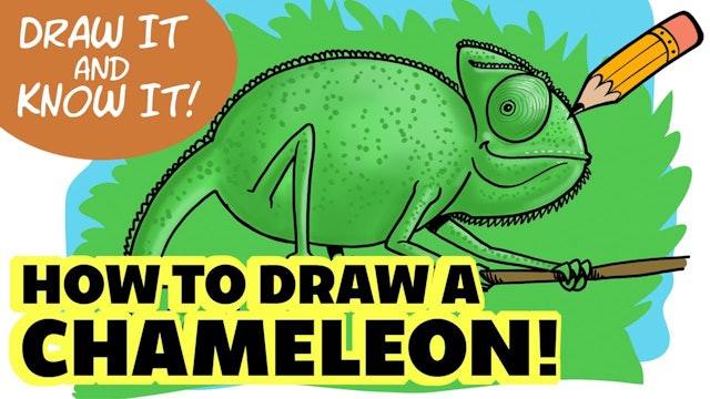 Draw It And Know It - Art Lesson Edition - How To Draw A Chameleon