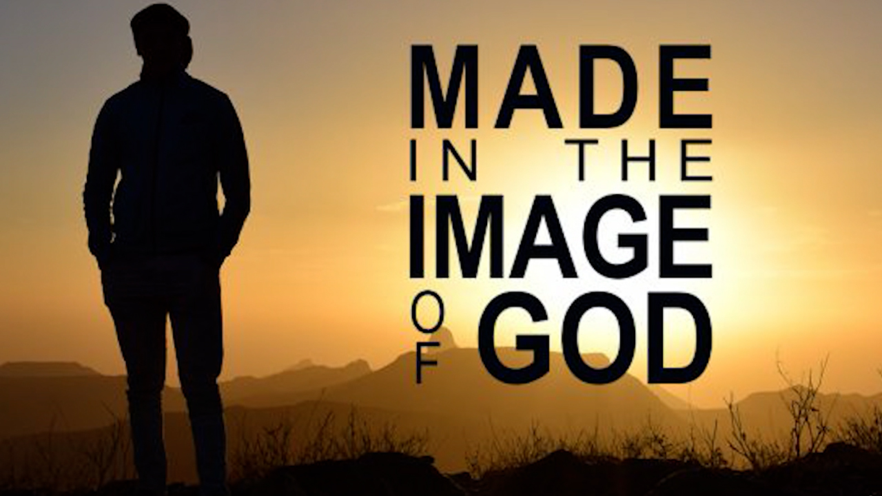 Exposing The Gender Lie