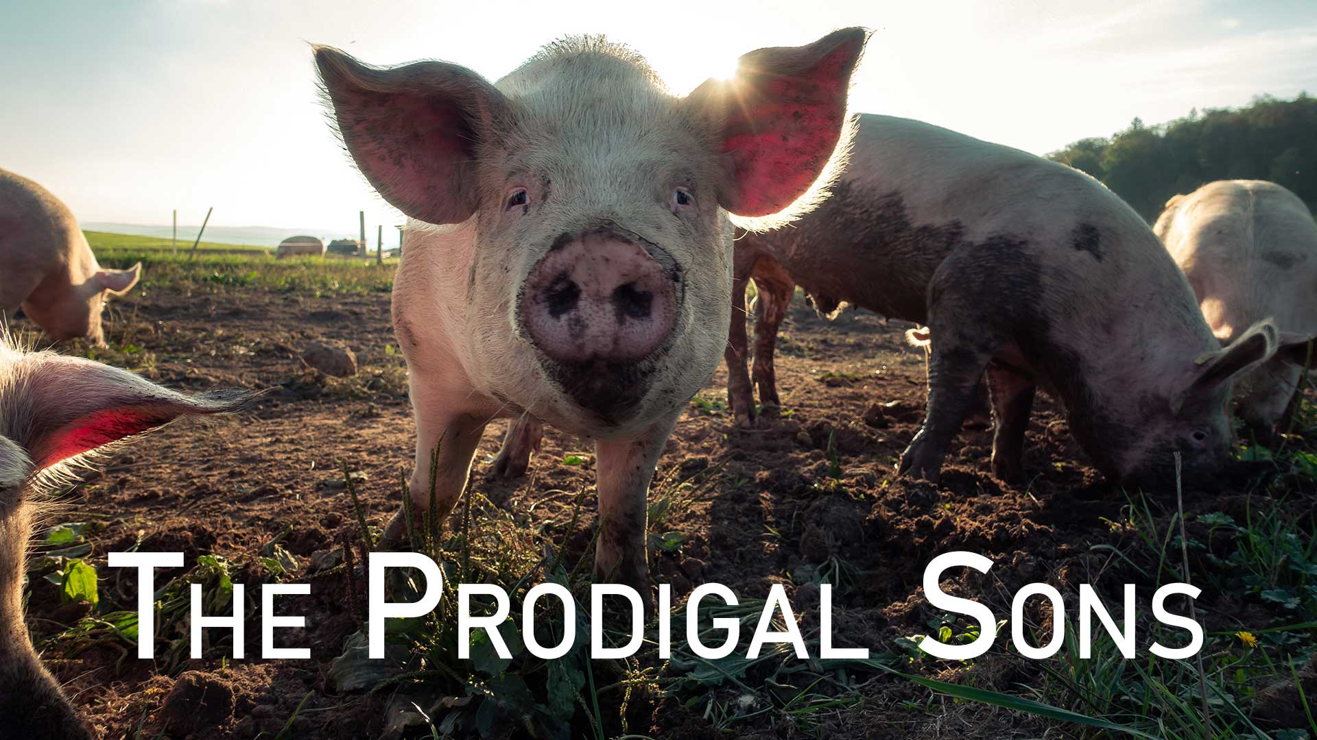 At Calvary "The Prodigal Sons"