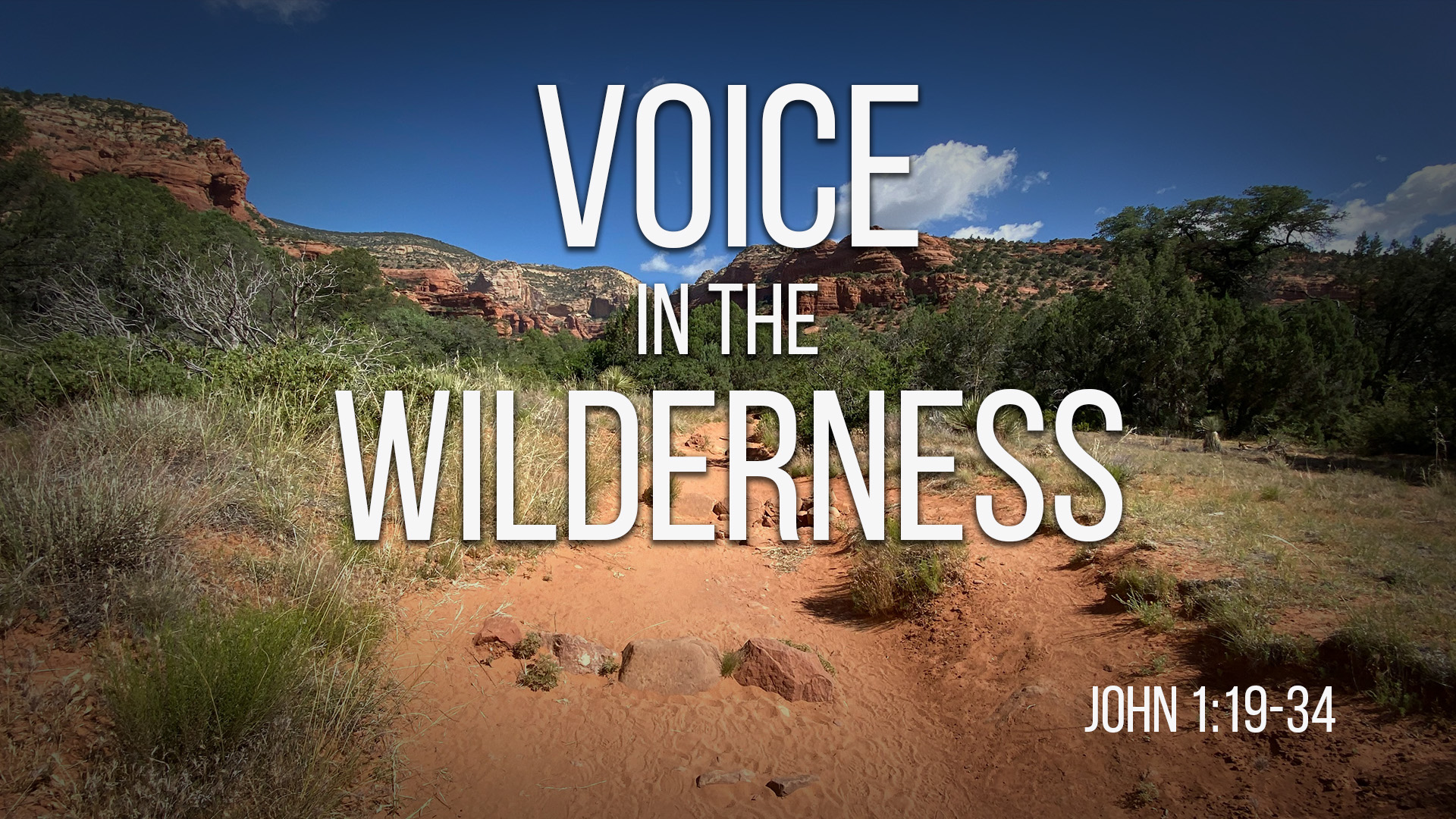 At Calvary "Voice In The Wilderness"