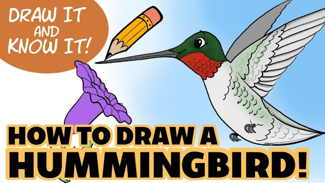 Draw It And Know It - How To Draw A Hummingbird