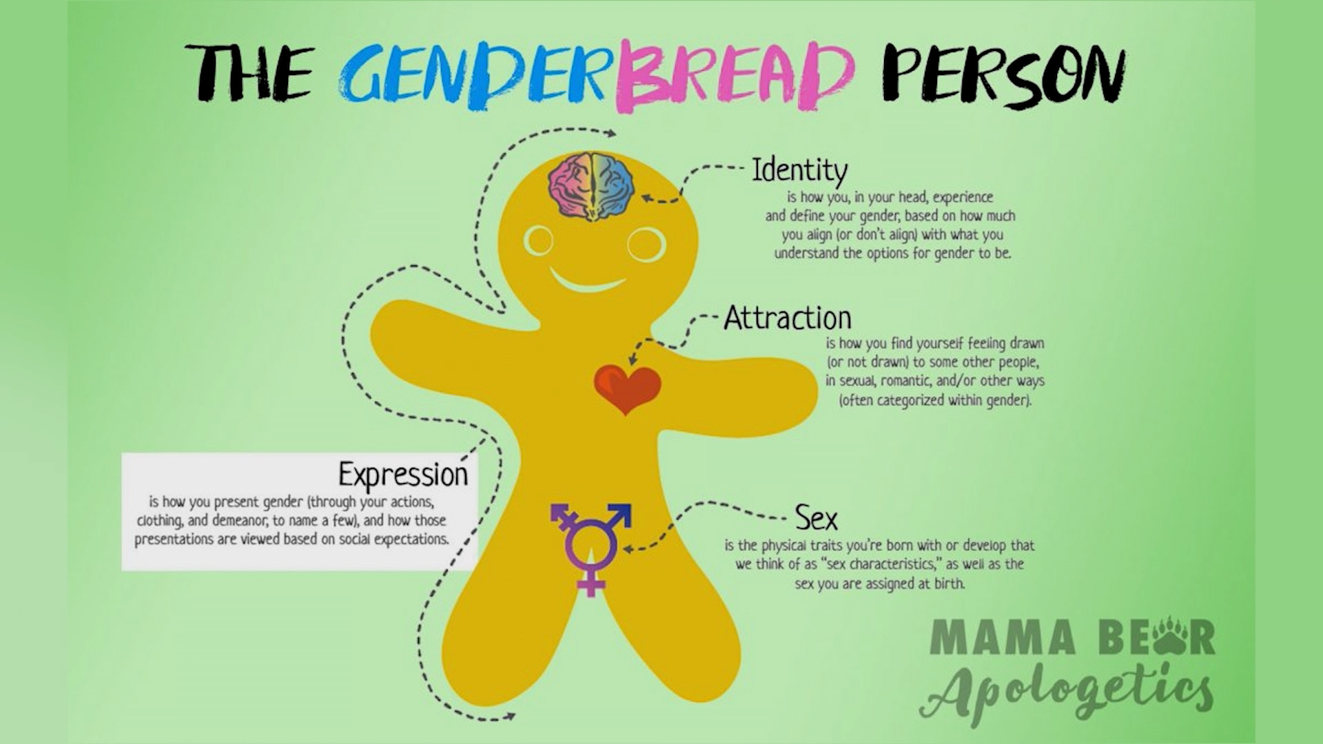 Program 5: The Genderbread Person