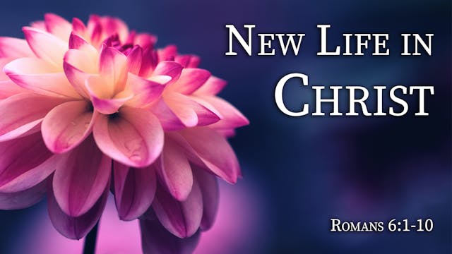 At Calvary "New Life In Christ"