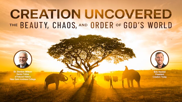 Creation Uncovered – The Beauty, Chao...