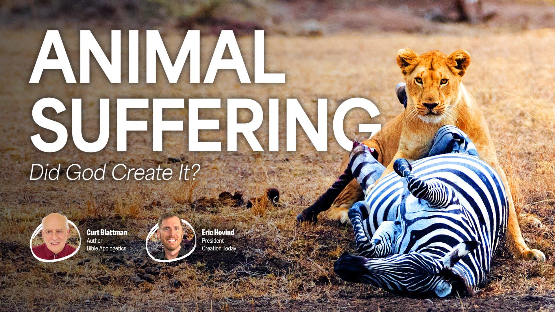 Animal Suffering: Did God Create It?