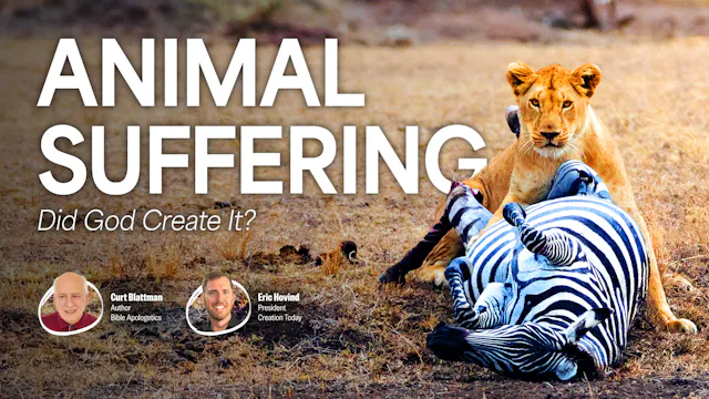 Animal Suffering: Did God Create It?