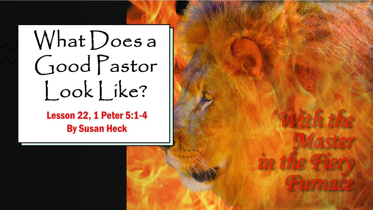 What Does A Good Pastor Look Like?