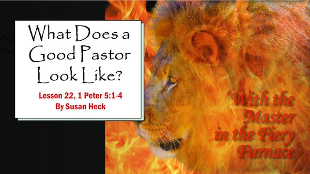 What Does A Good Pastor Look Like?