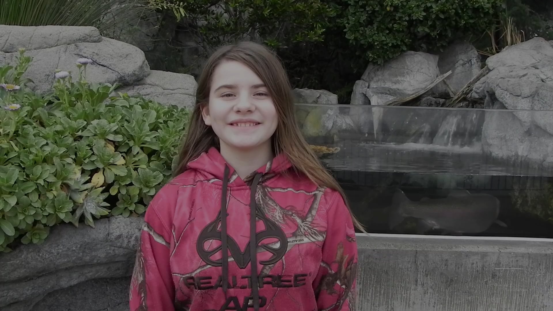 Loggerhead Sea Turtle Aquarium Minute