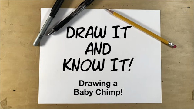 Draw It And Know It - How To Draw A Baby Chimp