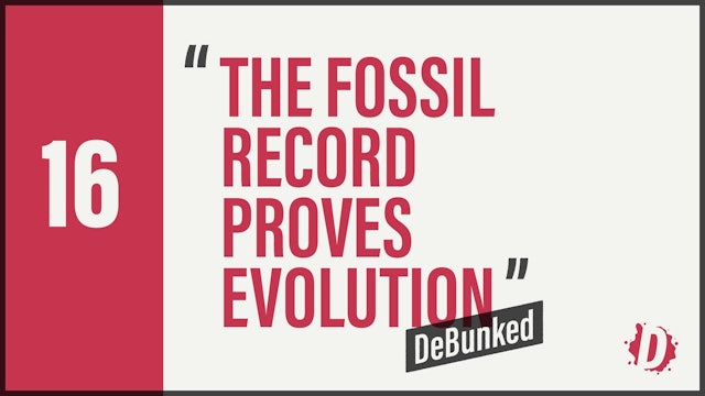 DeBunked 16 - The Fossil Record Proves Evolution