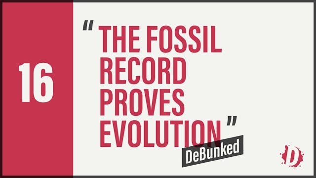 DeBunked 16 - The Fossil Record Prove...