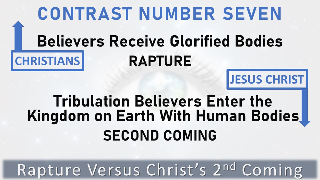 Contrast 7 - Glorified Bodies or Human Bodies?