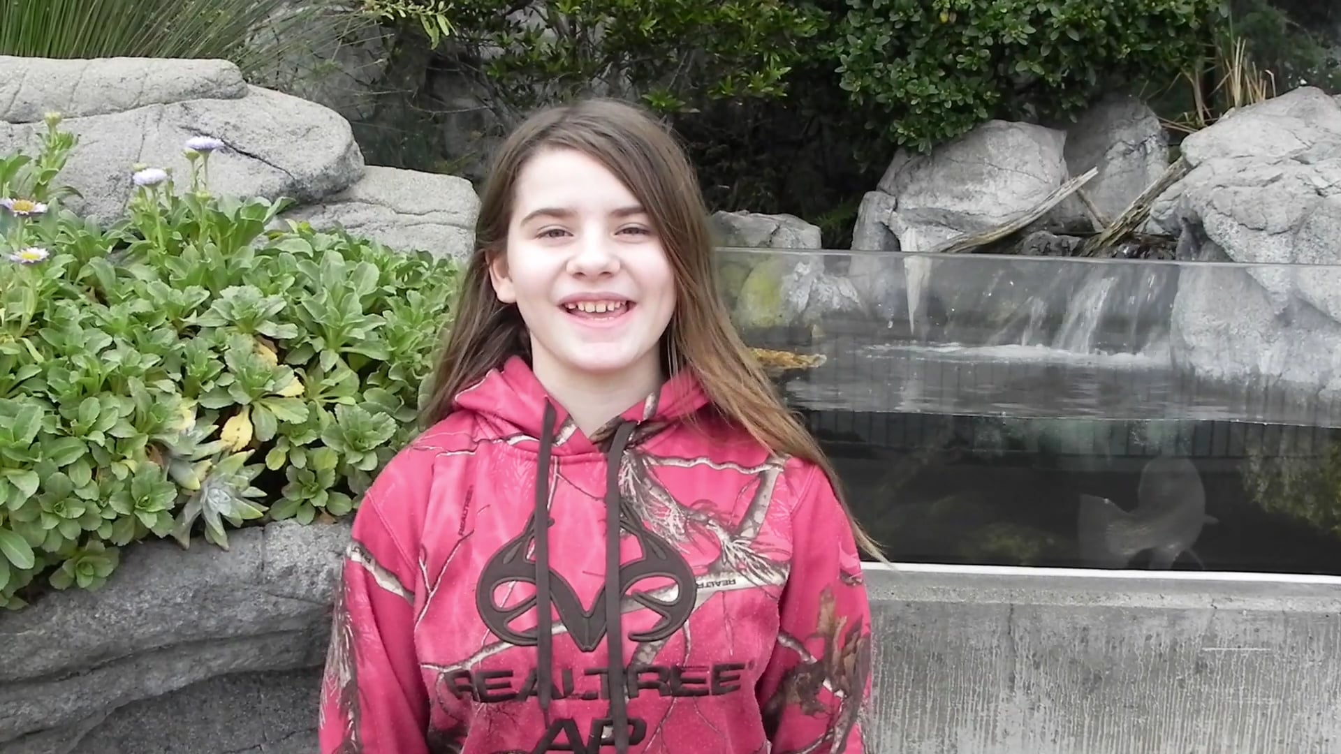 Blue Rockfish Aquarium Minute