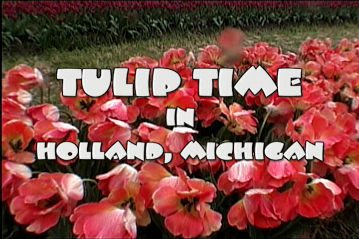 Tulip Time In Holland, Michigan
