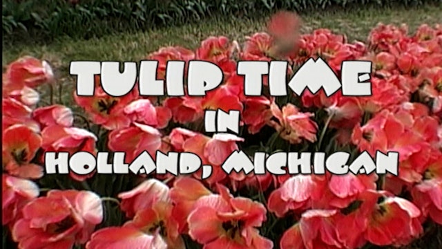 Tulip Time In Holland, Michigan