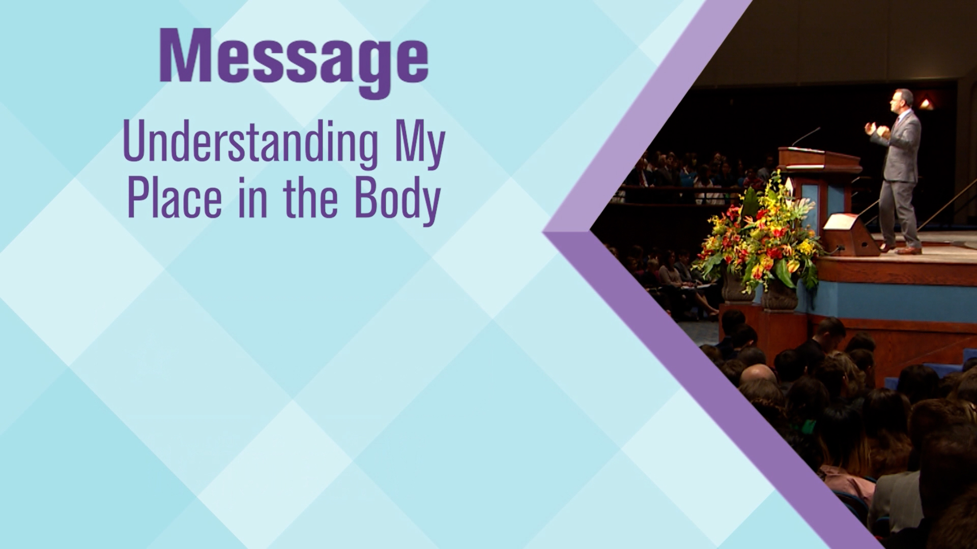 Understanding My Place In The Body