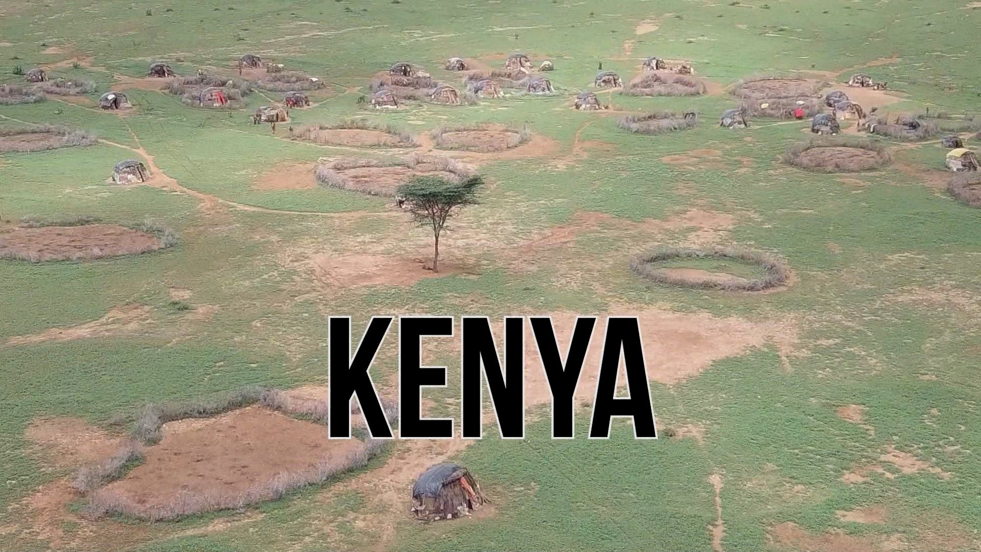 Program 7: The Words Of Life