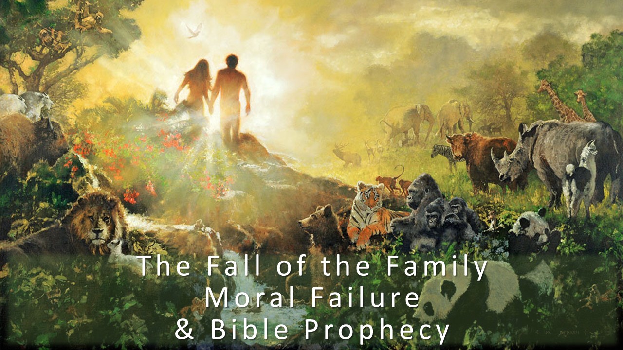 The Fall Of The Human Family