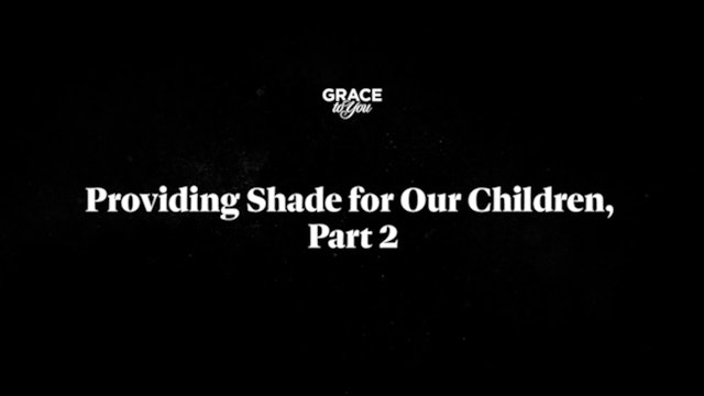 Providing Shade For Our Children - Part 2