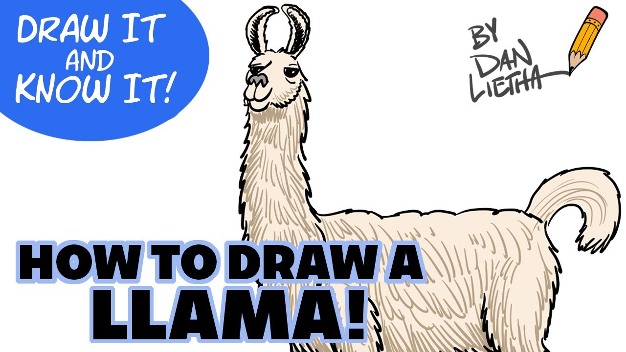 Draw It And Know It - Art Lesson Edition - How To Draw A Llama