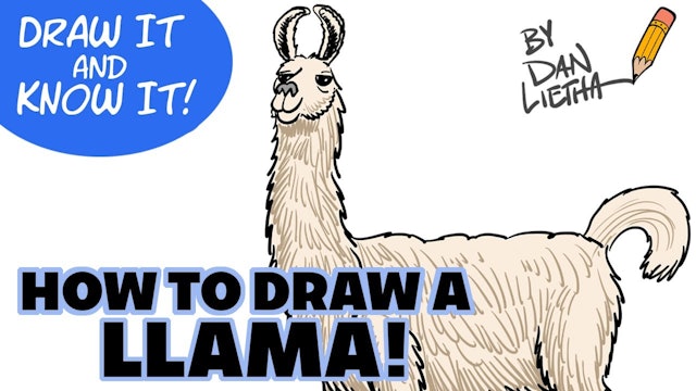 Draw It And Know It - Art Lesson Edition - How To Draw A Llama