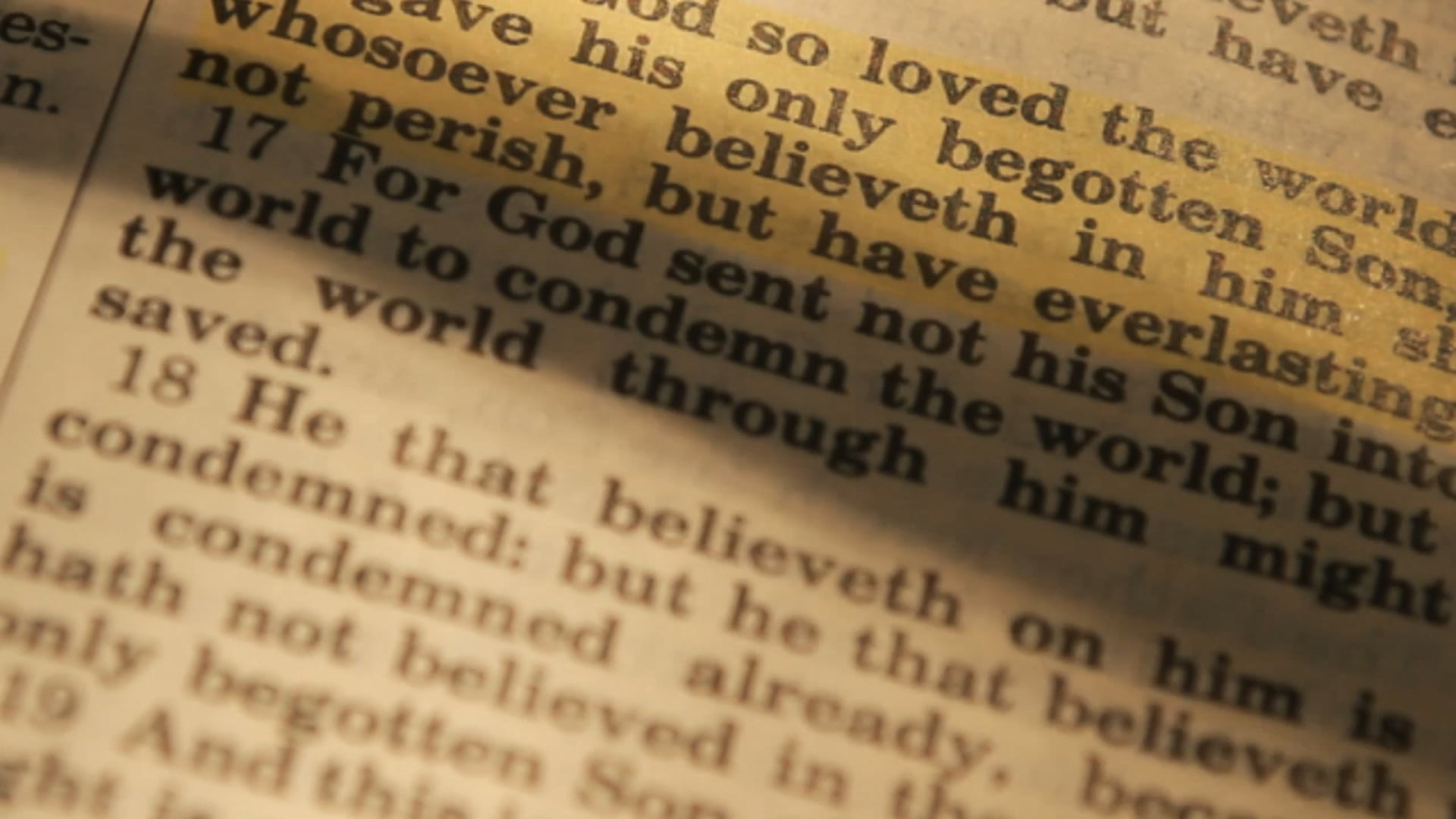 The Two Lost Sons - Tim Hunt