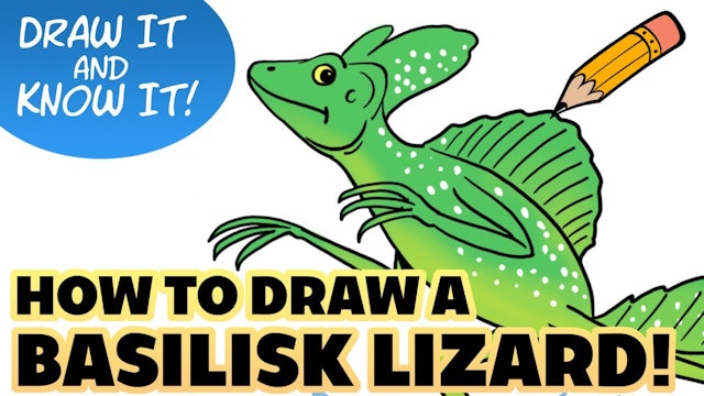 Draw It And Know It - Art Lesson Edition - How To Draw A Basilisk Lizard