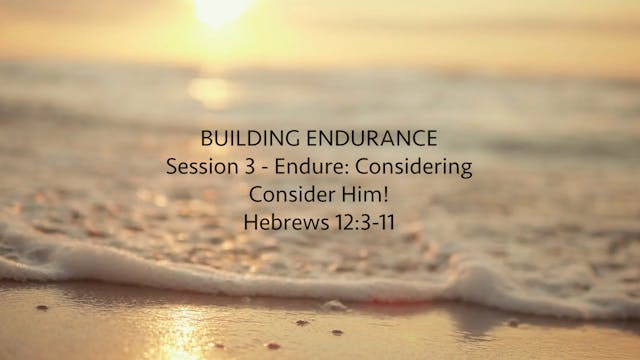 Session 3 - Endure: Considering
