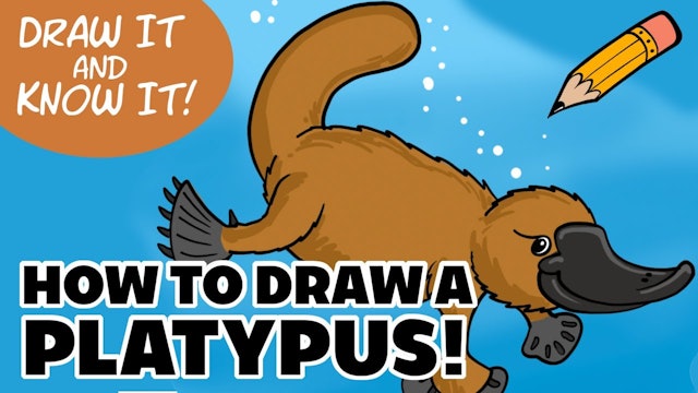 Draw It And Know It - Art Lesson Edition - How To Draw A Platypus