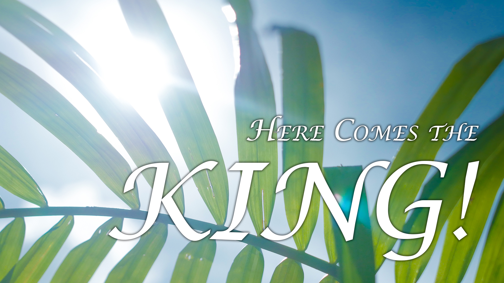 At Calvary "Here Comes The King"