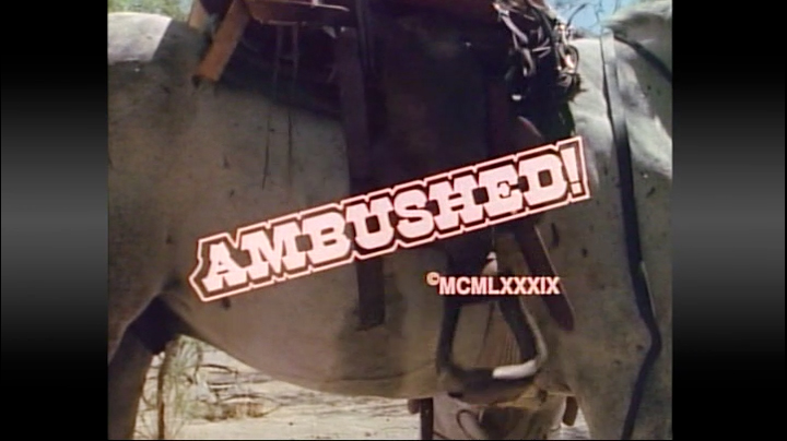 Ambushed - Harvest Productions (English)